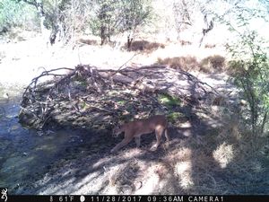 IMG_00846.JPG
