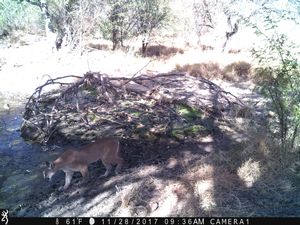 IMG_00857.JPG
