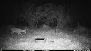 IMG_01156.JPG