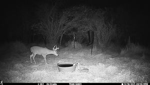 IMG_01167.JPG