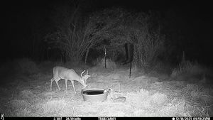 IMG_01178.JPG