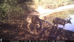 IMG_01194.JPG