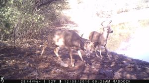 IMG_01213.JPG