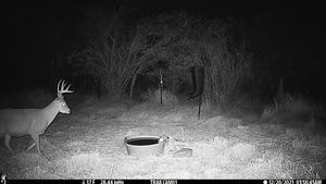 IMG_01863.JPG