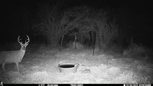 IMG_01882.JPG