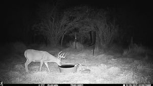 IMG_01892.JPG