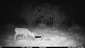 IMG_01906.JPG