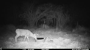 IMG_01915.JPG