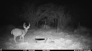 IMG_01926.JPG