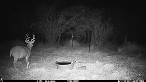 IMG_01937.JPG