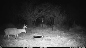 IMG_02433.JPG