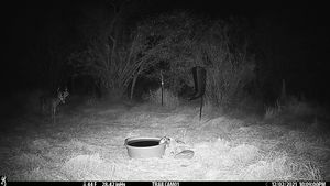 IMG_02533.JPG