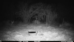 IMG_02543.JPG