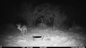 IMG_02567.JPG