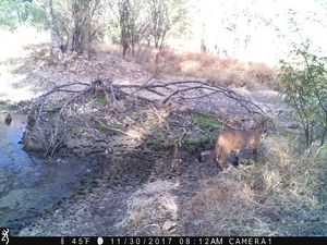 IMG_025712.JPG