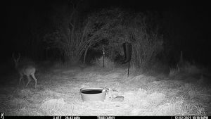 IMG_02576.JPG