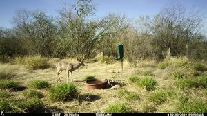 IMG_02842.JPG