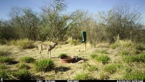 IMG_02854.JPG