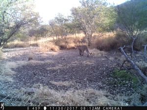IMG_02986.JPG