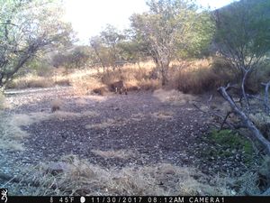 IMG_03003.JPG