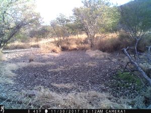 IMG_03015.JPG
