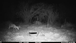 IMG_03175.JPG