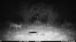 IMG_03185.JPG