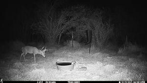 IMG_03194.JPG