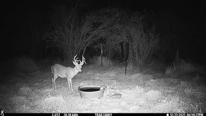 IMG_03203.JPG
