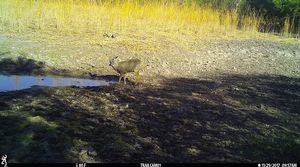 IMG_046510.JPG