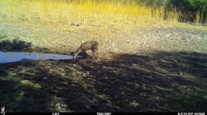 IMG_04678.JPG