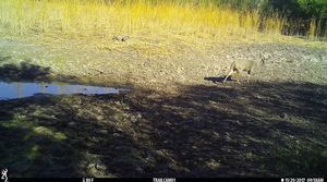 IMG_04698.JPG