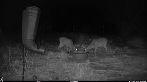 IMG_3430.JPG