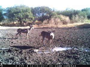 IMG_3659.JPG