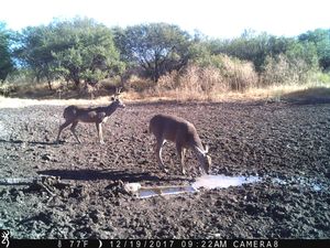 IMG_3660.JPG