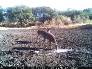 IMG_3661.JPG