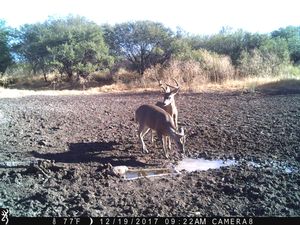 IMG_3662.JPG