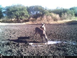 IMG_3663.JPG