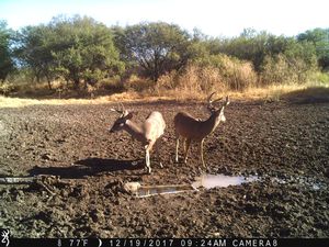 IMG_36651.JPG