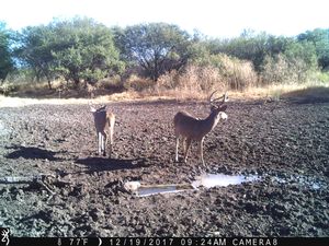 IMG_36661.JPG