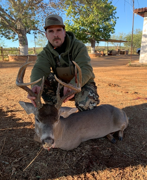 Tucker's Mexico Coues