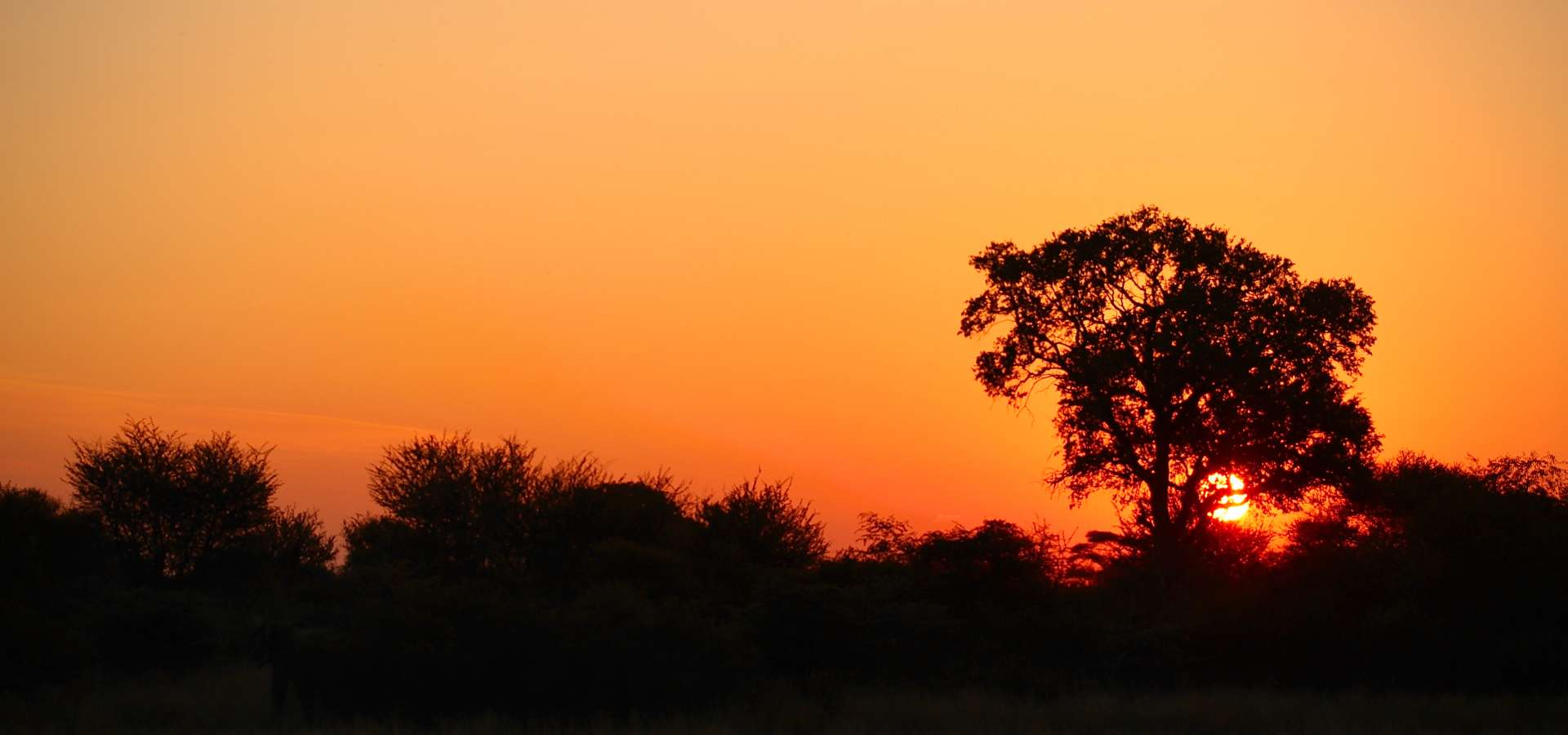 Mahimba Safaris Photo Gallery