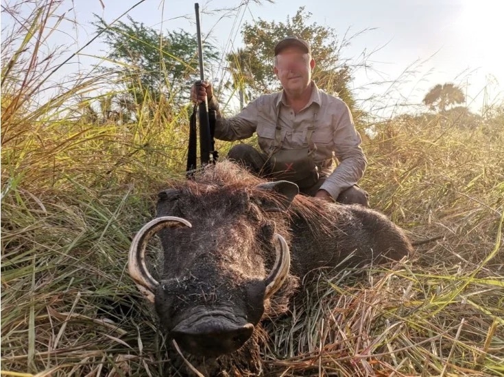 Warthog Hunting in Mozambique