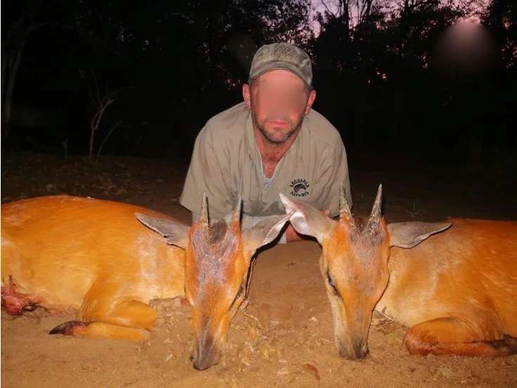 Red Duiker Hunting