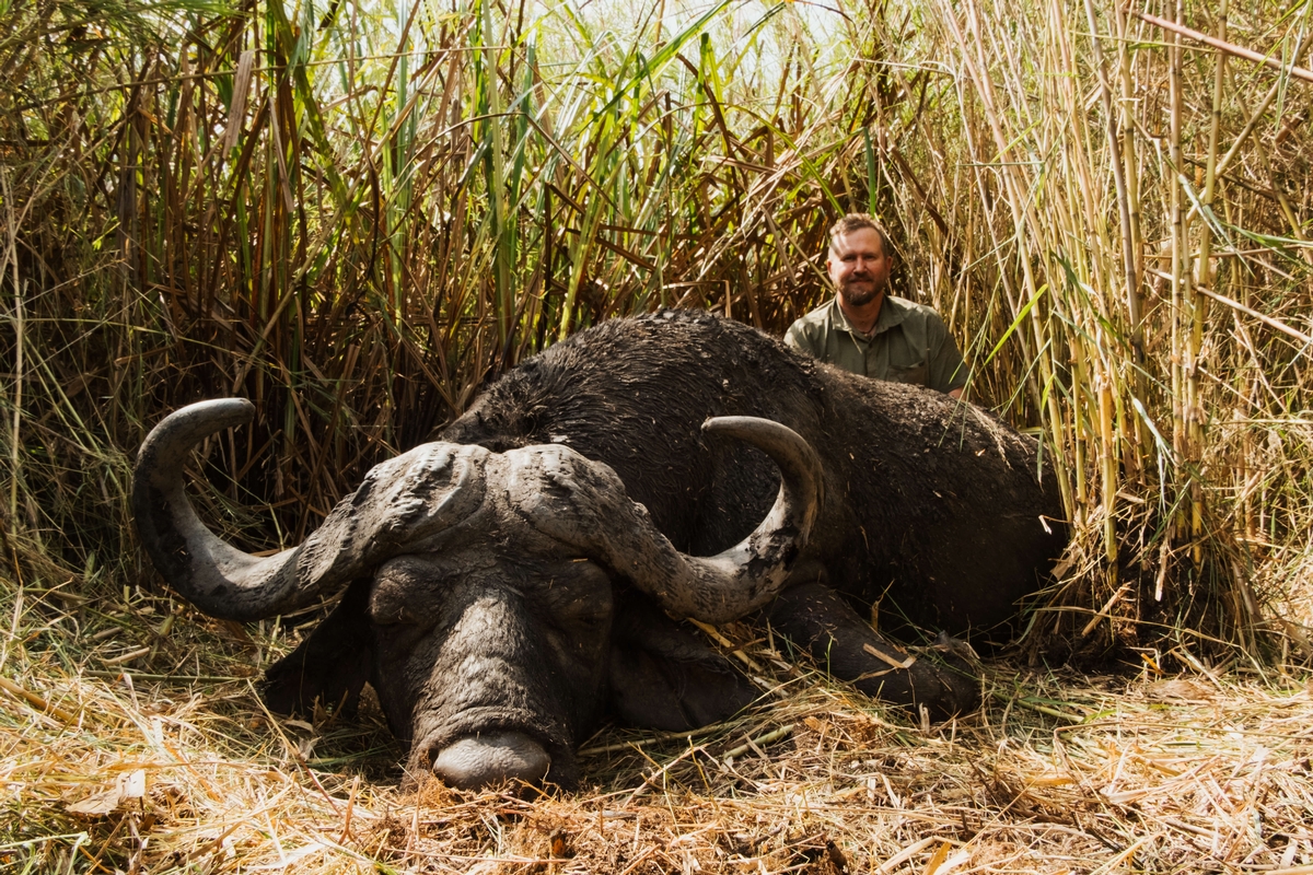 Buffalo Hunting in Mozambique