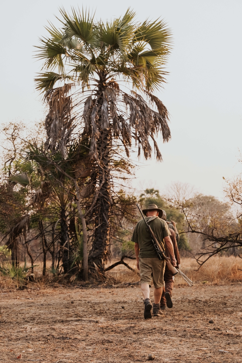 Buffalo Hunting