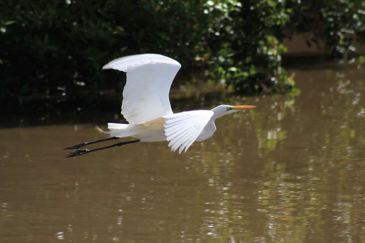 A Birder's Paradise