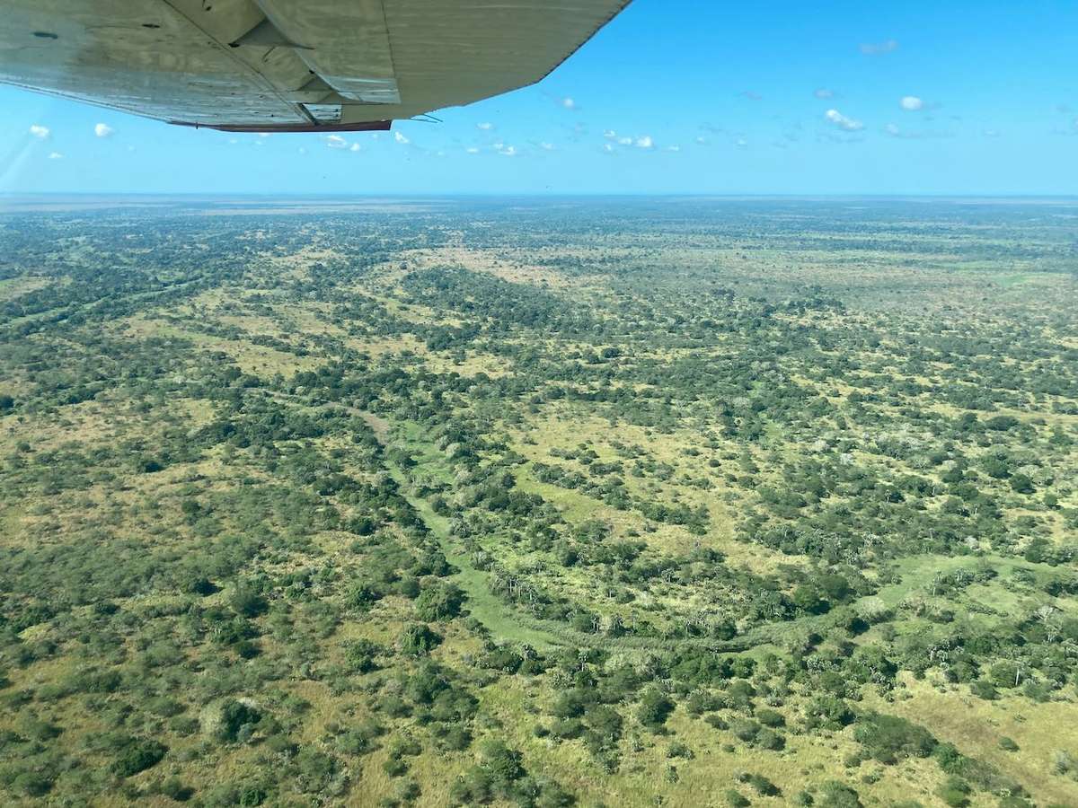 Zambezi Delta Hunting Season