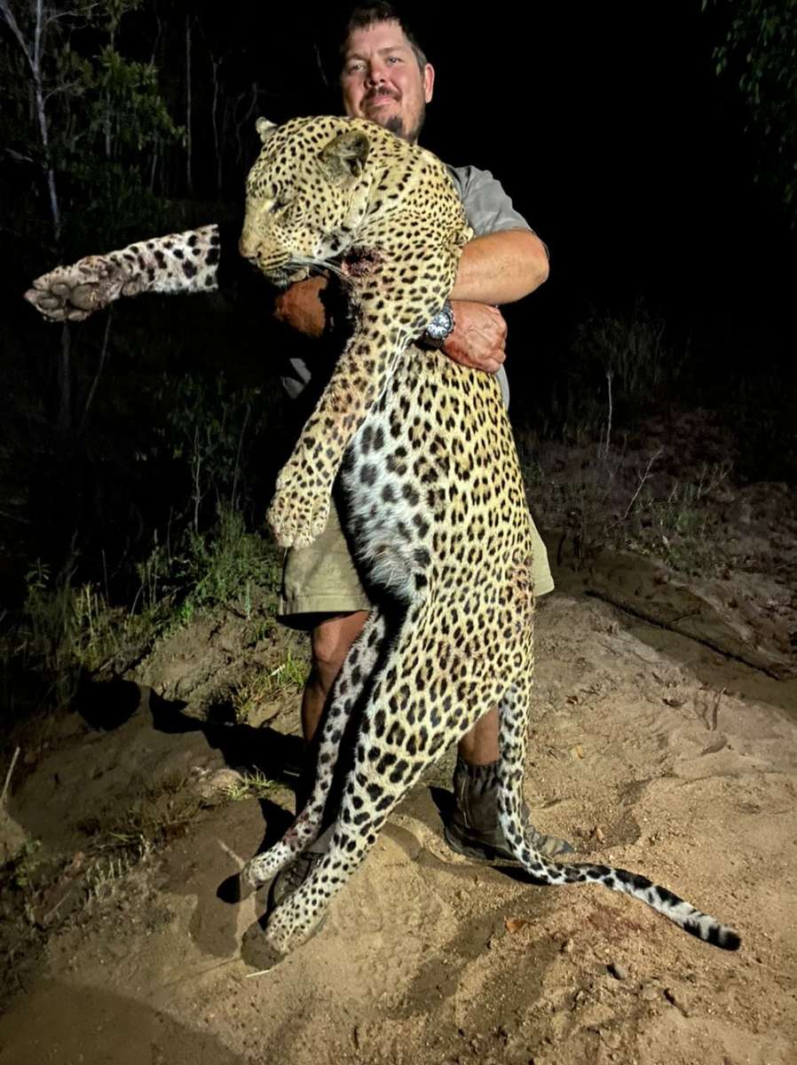 Mozambique Leopard Hunting