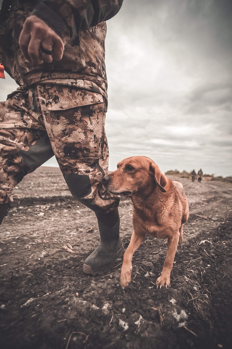 Waterfowl Hunt Details